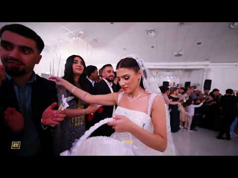 Xesan Eshed / Aziz & Milana / Part07 / #DilocanPro #Hochzeit #Wedding #Kurdish #Dilocan