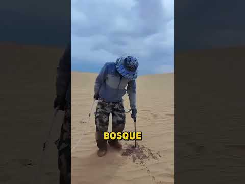 Por qué están PERFORANDO el DESIERTO!?