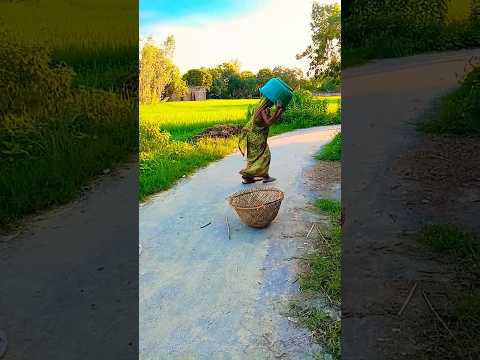 lambi Bahu#viralvideo #funny #comedy #song #dance