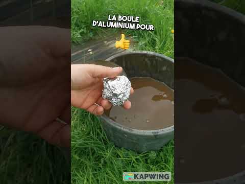 Téflon toxique 1/2 : Rénovation poêle en fer et culottage #rénovation #naturelle #téflon