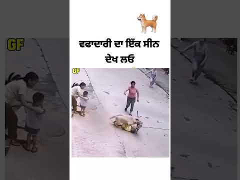 waheguru ji #youtubeshorts #reel#viralvideo #viralvideo #farmerjatt #duet