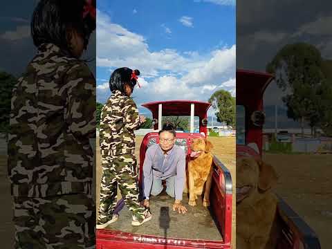 Short films, good entertainment videos every day for you #33