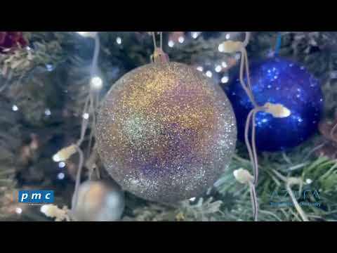 We Wish You A Merry Christmas - Azura