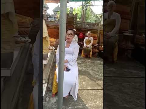 Mendengarkan Darma wacana Ida Bhagawan sebelum upacara #bali #ajegbali #adatistiadat #hindu