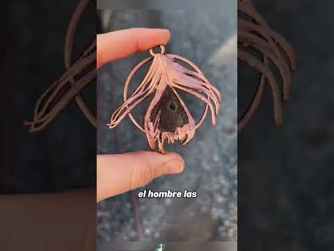 Peacock seeking help#animals #Friendship #Us #cute #Rescue