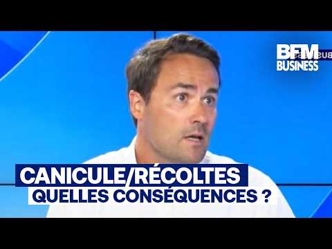 Canicule : "La situation est intenable pour les agriculteurs sur de nombreux produits" (E.Morice)