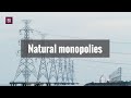 Natural Monopolies and Their Characteristics