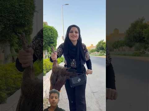 تجربة تنويم الدجاجه😭 #like #subscribe