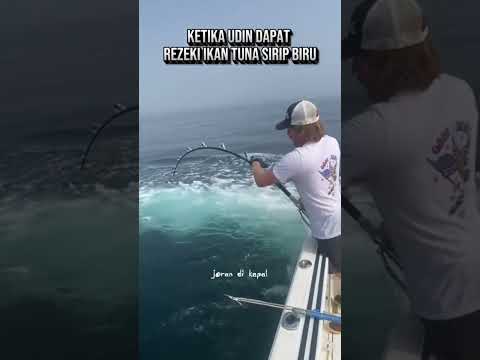 ♻️😂🔥detik-detik udin mendapakan ikan monster 🔥🔥🔥 #shortsfeed #viralvideo #mancing #fishing