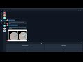 Bot Functionality and User Interaction