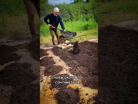 Картофель на целину! #дача #огород #обзордачи #картошка