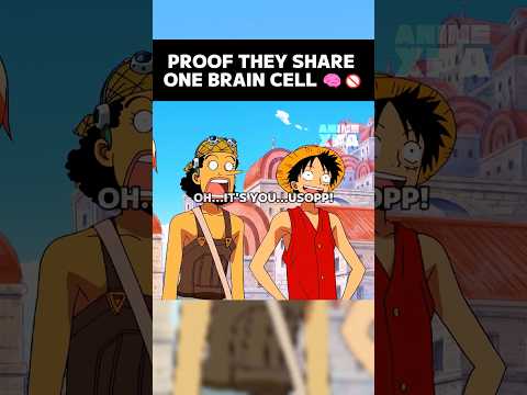 The Monster Trio Shares ONE Brain Cell... ๐๐คฃ (One Piece) #Luffy #Zoro #Sanji #MonsterTrio