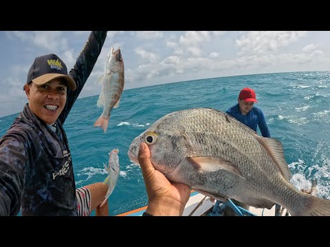 ENCHEMOS OS BALDE DE PEIXE  NESSA PESCARIA DE ALTO MAR ( DIEGO PESCADOR AMADOR )