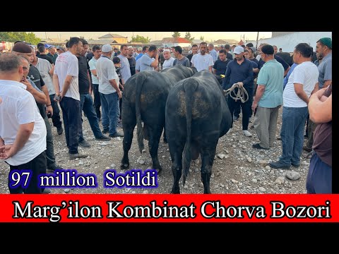 MARG’ILON  KOMBINAT CHORVA BOZORI KATTA KICHIK BUQALAR NARXLARI .July 13, 2025