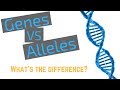 Understanding Alleles and Genes