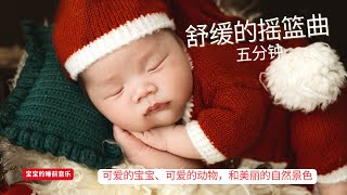 舒缓的摇篮曲 |宝宝睡眠音乐 | 宝宝的睡前音乐 | 五分钟