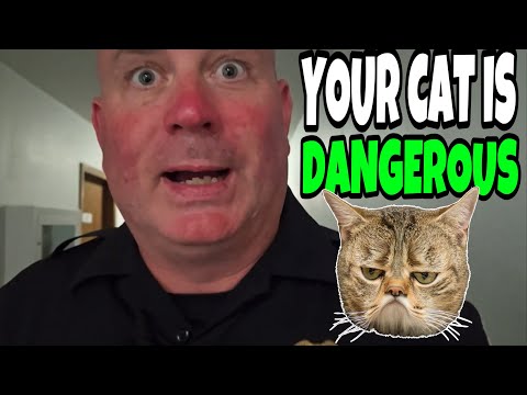 Your Cat is At Large and Wanted for Crimes (WOW)
