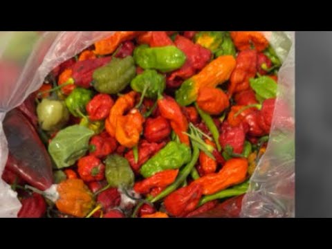 Cook with me ❤️❤️