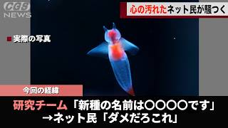 クリオネの新種の名前、心の汚れた大人の間で話題になってしまうwwww