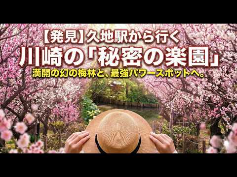 春の匂いを探して。川崎の知られざるパワースポットと満開の梅林を歩く休日🌸 / 久地駅周辺さんぽ