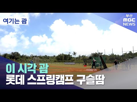 이 시각 괌..'롯데 스프링캠프' 구슬땀 (2024-02-02,금/뉴스데스크/부산MBC)