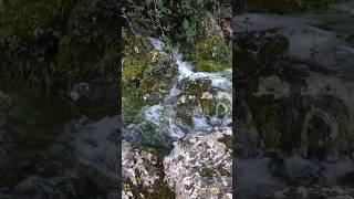 LA MAGIA DELL'ACQUA  2 #forest #escursioni  #hiking #panorami #mountains #sea #trekking #waterfall