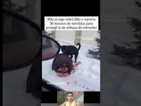 mãe impede ataque de Rottweiler cachorro salva filho família