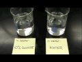 Defining Diffusion and Osmosis in IB Biology