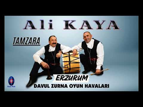 Ali Kaya - Tamzara / Düğün Halay Davul Zurna Oyun Havası