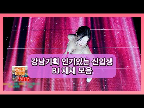 강남기획 인기있는 신입생 BJ채채 모음집