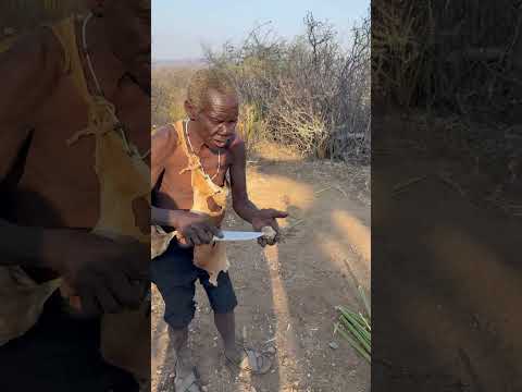 Hadza bushmen preparing for their today’s Dinner #africa #villagelife #food