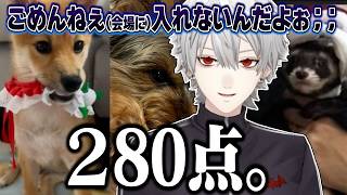 動物に甘く、人間に失礼な葛葉【にじさんじ/切り抜き/葛葉/雑談】