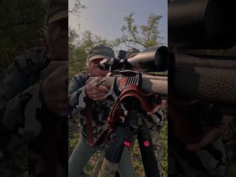 7mm Backcountry Hunt! #hunting #7mmbackcountry