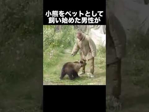 飼っていた熊に喰われた男　　　#事件解説 #怖い話 #動物