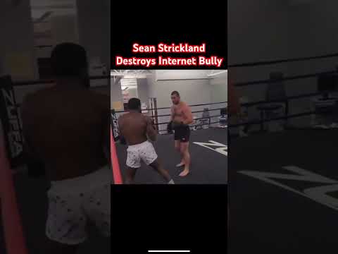 Sean Strickland Detroys Internet Bully #boxing #boxingtraining #boxinglife #fighting #mma #mmanews