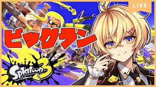 【初見歓迎】ソロ/ サーモンラン ビッグラン  金トロフィー 狙う【Vtuber/もちぴよ】スプラトゥーン3 Splatoon3 ぴよなま