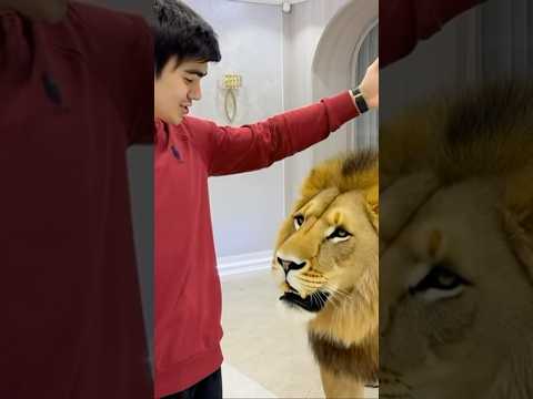 24 февраля 2026 г.