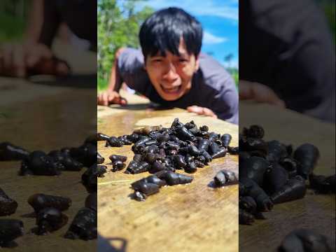 Sad and unable to hold back tears while evacuating small snails from the heat of the sun #snailsong