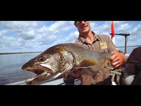 'The Aikens Experience'- Manitoba Fly-In Fishing at Aikens Lake Wilderness Lodge