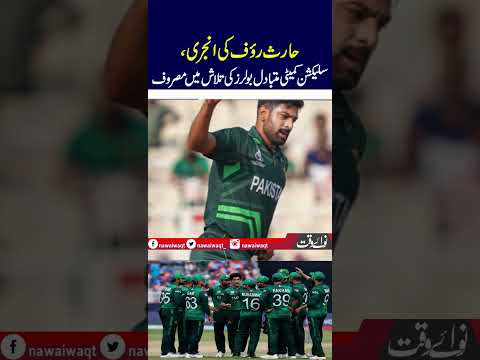 Haris Rauf Injury: Selection Committee In Search of Replacement Fast Bowlers | Nawa-i-Waqt