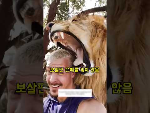정성껏 보살핀 아기사자 #shorts
