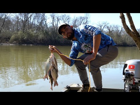 Pescando Y Cocinando  A la Orilla Del Rio