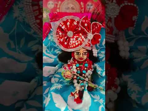 जरा देर बैठो है बांके बिहारी #mereladdugopal