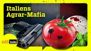Geldwäsche und Giftmüll: So fest hat die Mafia Italiens Landwirtschaft im Griff | ZDFinfo Doku