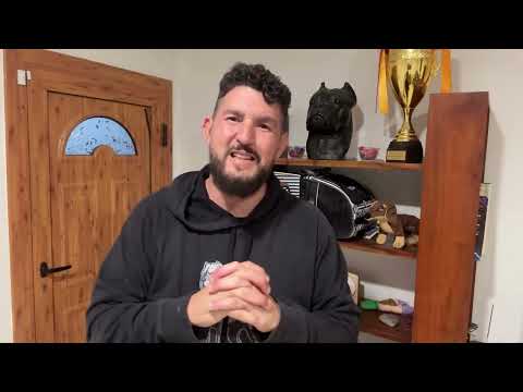 Siento muchas veces haber ido en piloto automático