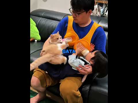 Esta Gata Quería Su Propia Botella De Leche 🍼🐱#shorts
