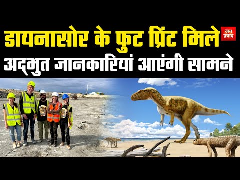 Dinosaur footprints found : डायनासोर के फुट प्रिंट मिले | अद्भुत जानकारियां आएंगी सामने | HindiNews