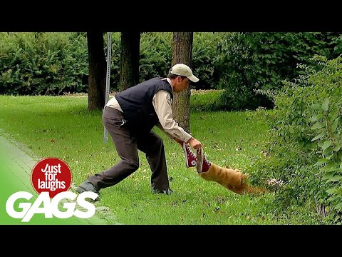 Just For Laughs Gags |  Funniest and Best Pranks