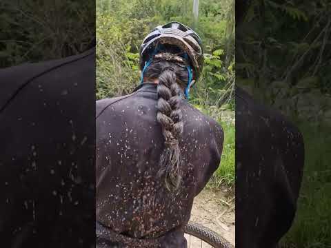 Te voy amar 🌬🚴♀️🚴♂️ #shimano #cycling #sram #ciclismo #bike #bicicleta #cyclinglife #shortvideo