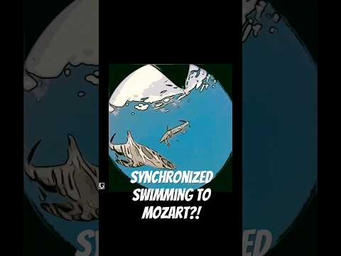 Sharks Synchronized Swimming to Mozart – Ocean Ballet Gone Wild! #shorts